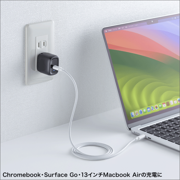 【サンワサプライ】USB PD対応AC充電器（PD30W） ACA-PD99BK