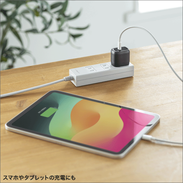【サンワサプライ】USB PD対応AC充電器（PD30W） ACA-PD99BK