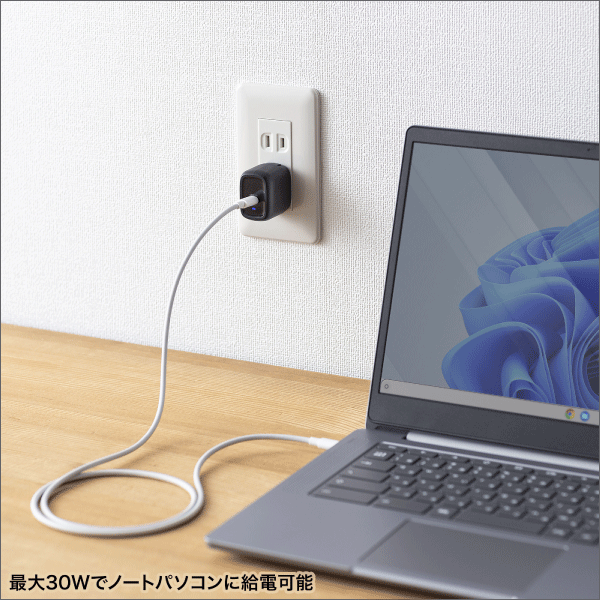 【サンワサプライ】USB PD対応AC充電器（PD30W） ACA-PD99BK
