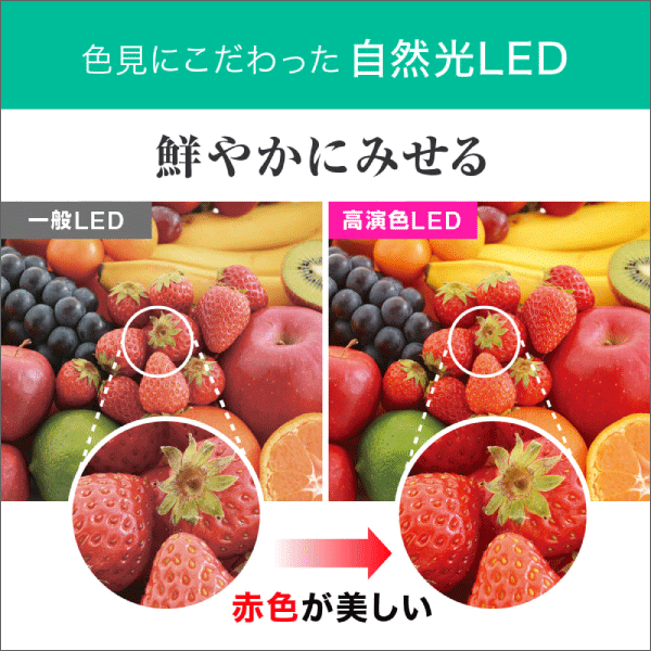 【エコリカ】直管形LEDランプ 工事不要 グロースタータ式（FL蛍光灯専用）20形（昼白色相当 自然光） ECL-LG20YN-RL