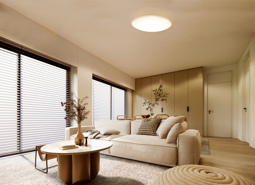 【アイリスオーヤマ】LEDシーリングライト 12畳調光調色 クリアフレーム CEA12DL-5.0QCF