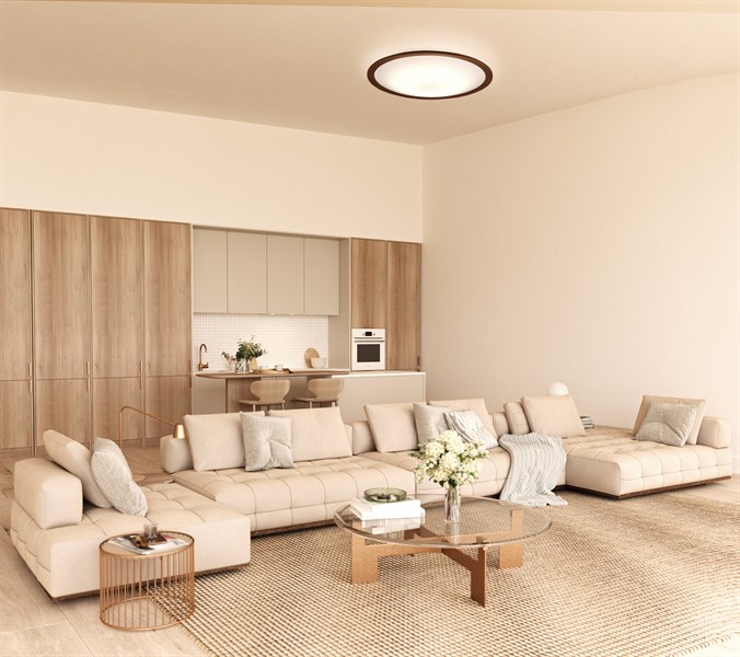 【アイリスオーヤマ】LEDシーリングライト 12畳調光調色 ウッドフレーム CEA12DL-5.0QWFM