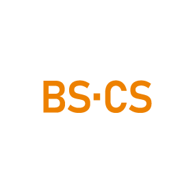 BS CS